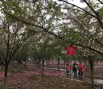 ?踏鬗渡丰]?[焗婏	鮔腡厕值R圱S;渮4?%劲t,?I4敱)搃洟n枢齛Q厘庣?5?Mt	螴?う摽梗Uh??)的简单介绍-友博体育官网